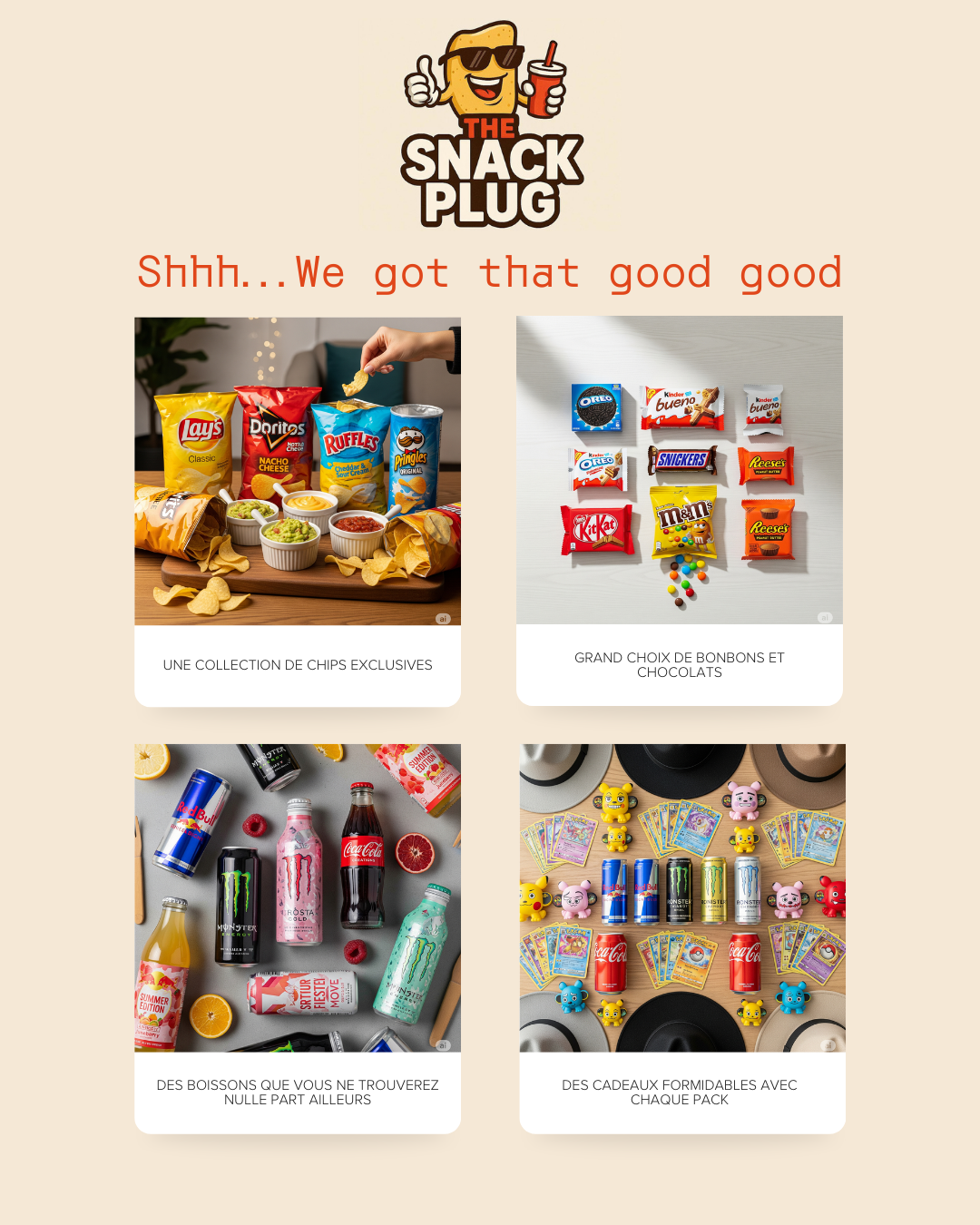 Catalogue The Snack Plug - A Snack Box Provider